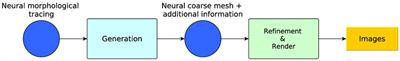 NeuroTessMesh: A Tool for the Generation and Visualization of Neuron Meshes and Adaptive On-the-Fly Refinement